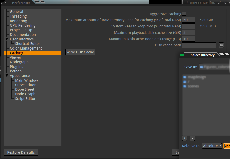 ../_images/compositing-projects-caching_01.png