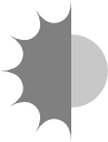 pluginIcon