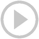 pluginIcon