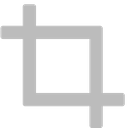 pluginIcon