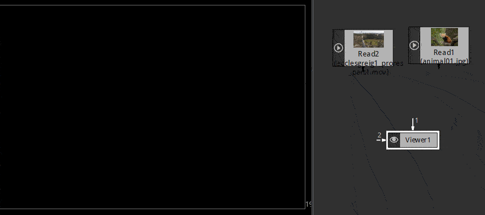 ../_images/node_viewer.gif