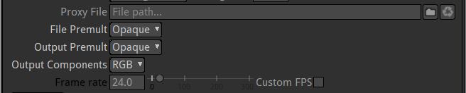 ../_images/read_node_interpret_footage.jpg